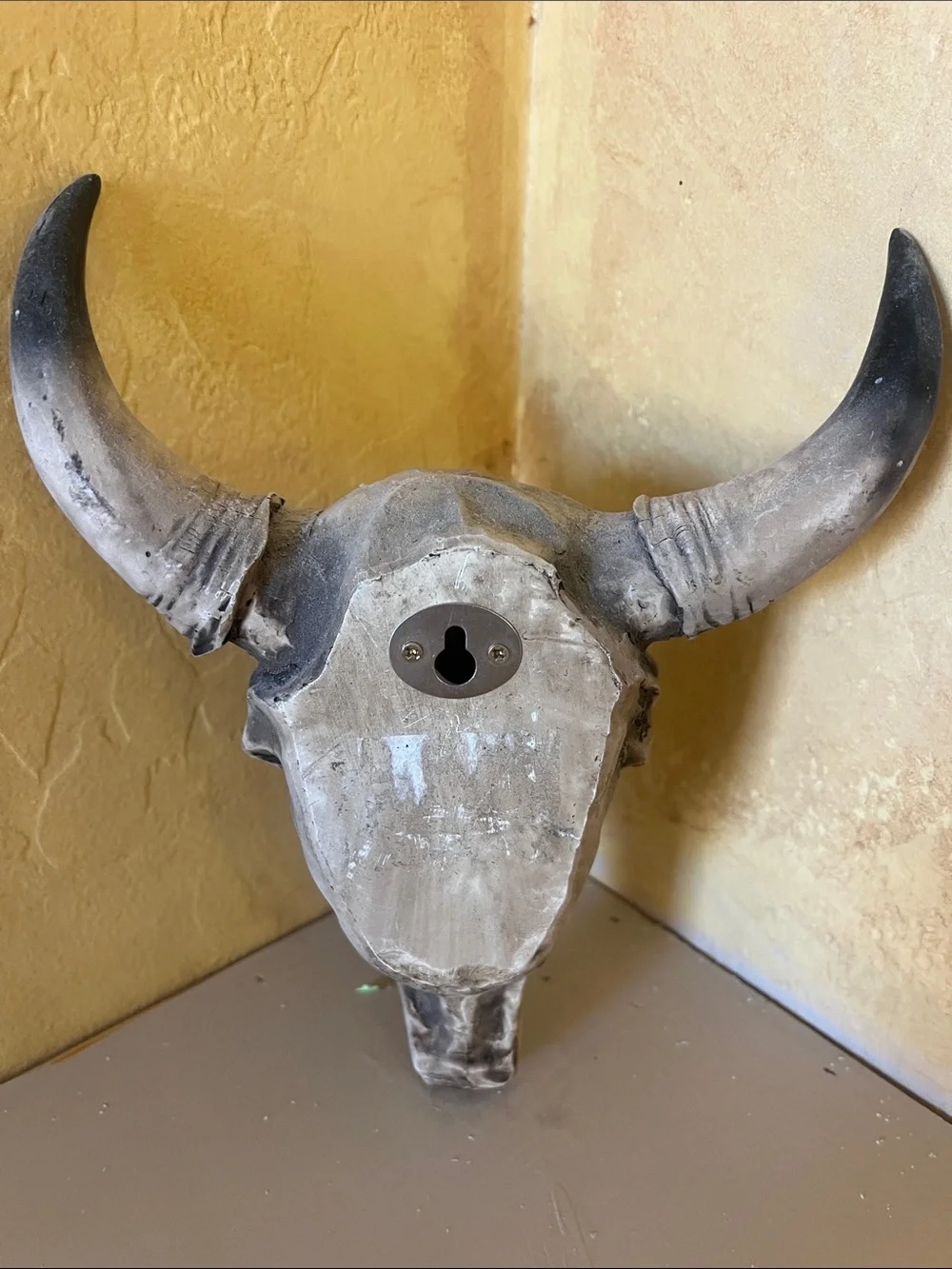 Decorative Faux Bull Skull Wall Art - Cream and Black